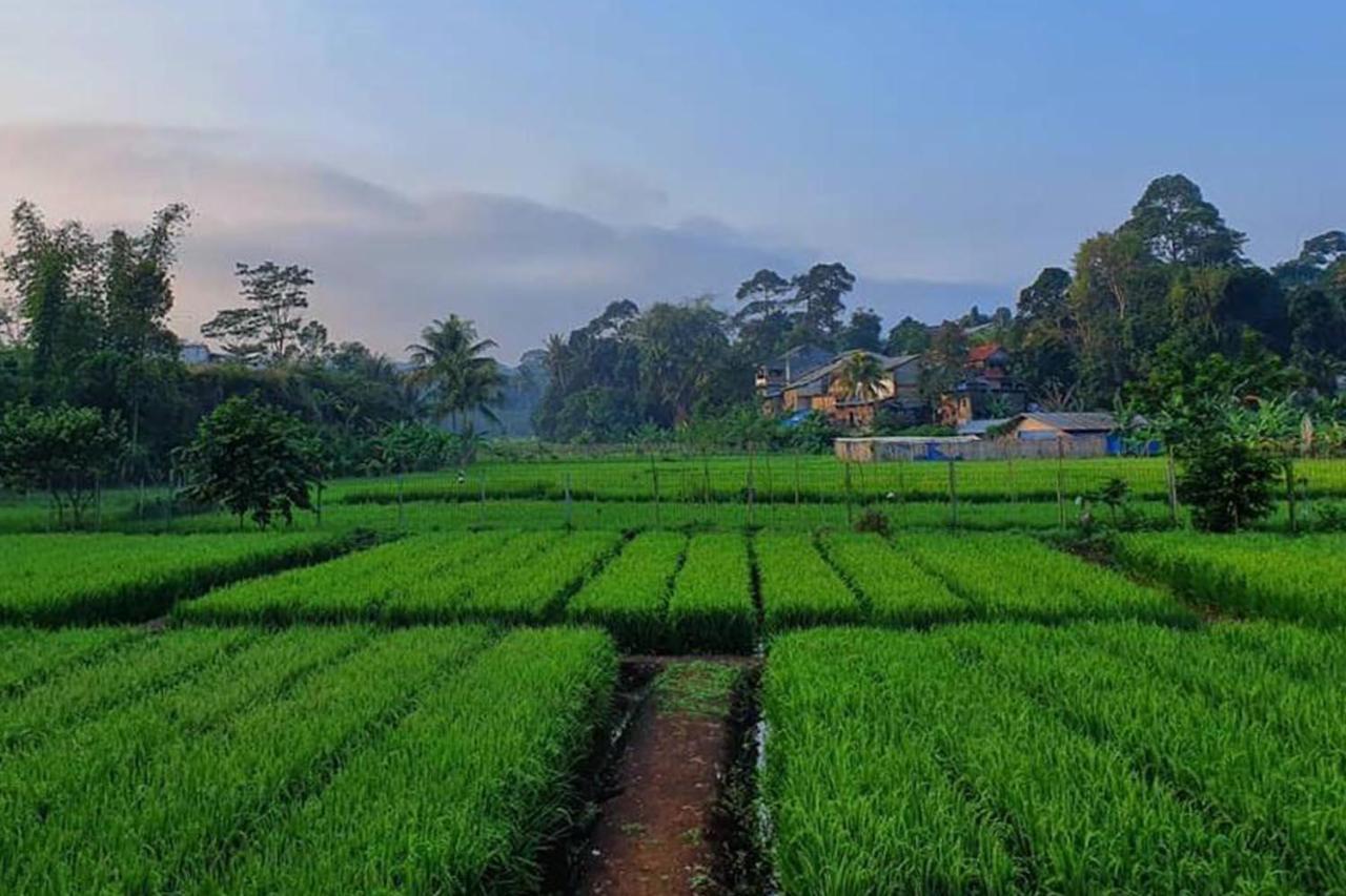 Amanuba Hotel & Resort Rancamaya Bogor Dış mekan fotoğraf